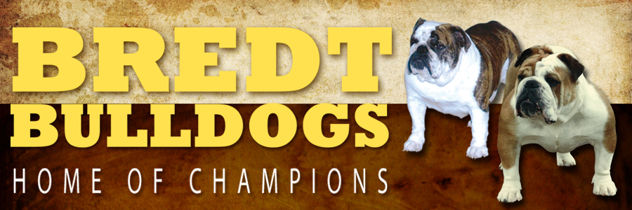 Bredts Bulldogs