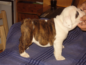 1 - 6 weeks